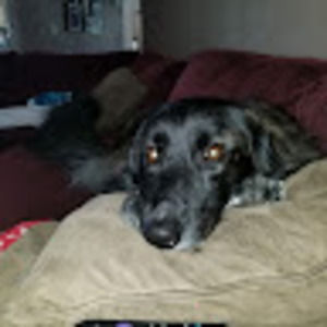 Meet your Posher, Denah